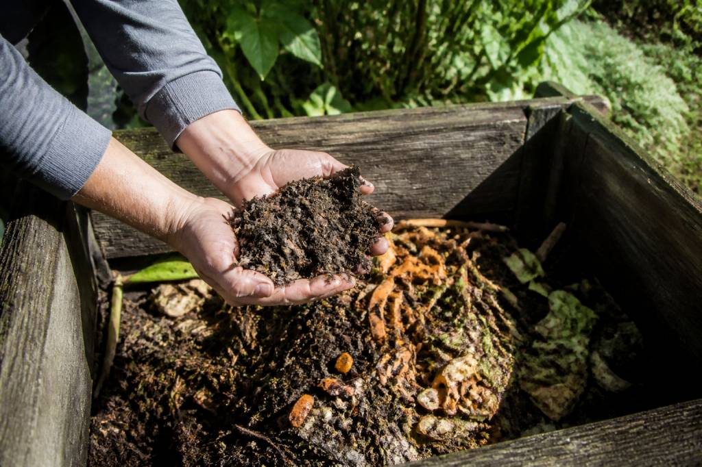 Comment utiliser du compost pour enrichir naturellement son jardin
